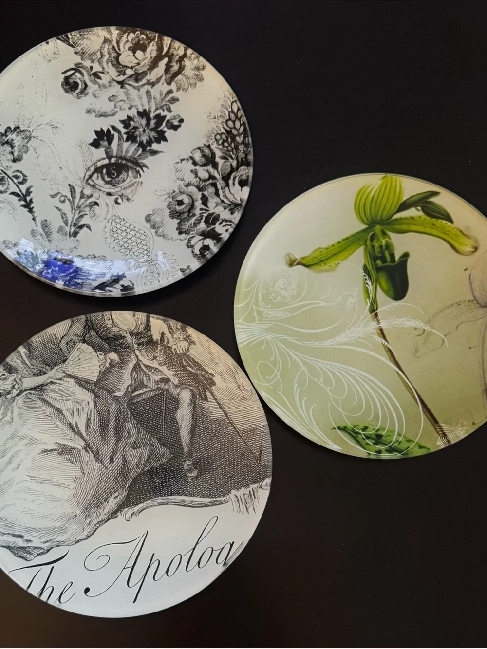 Decorative Plates Floral and Illustration Designs